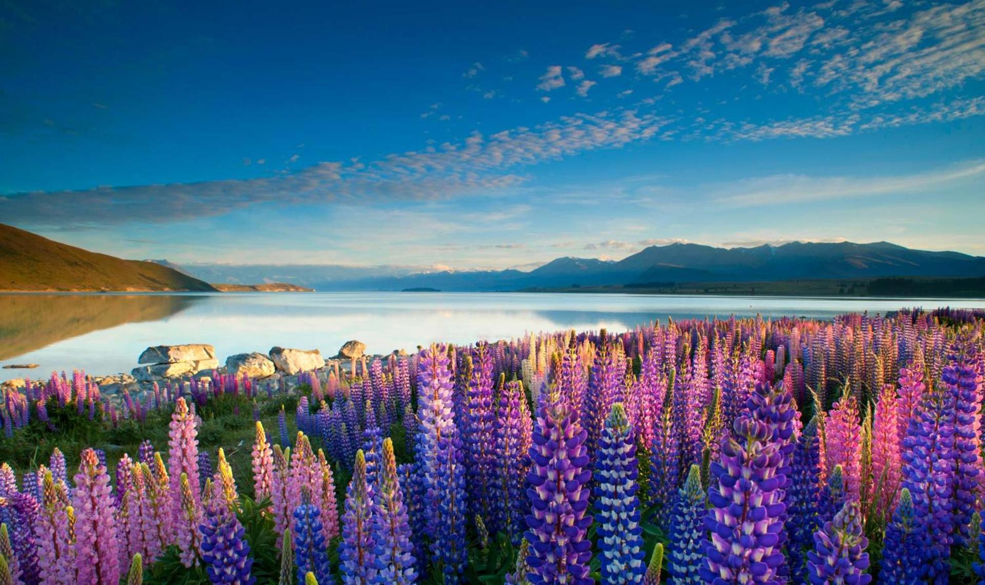 Tekapo1929 Lakefront Villa Лейк Текапо Екстериор снимка