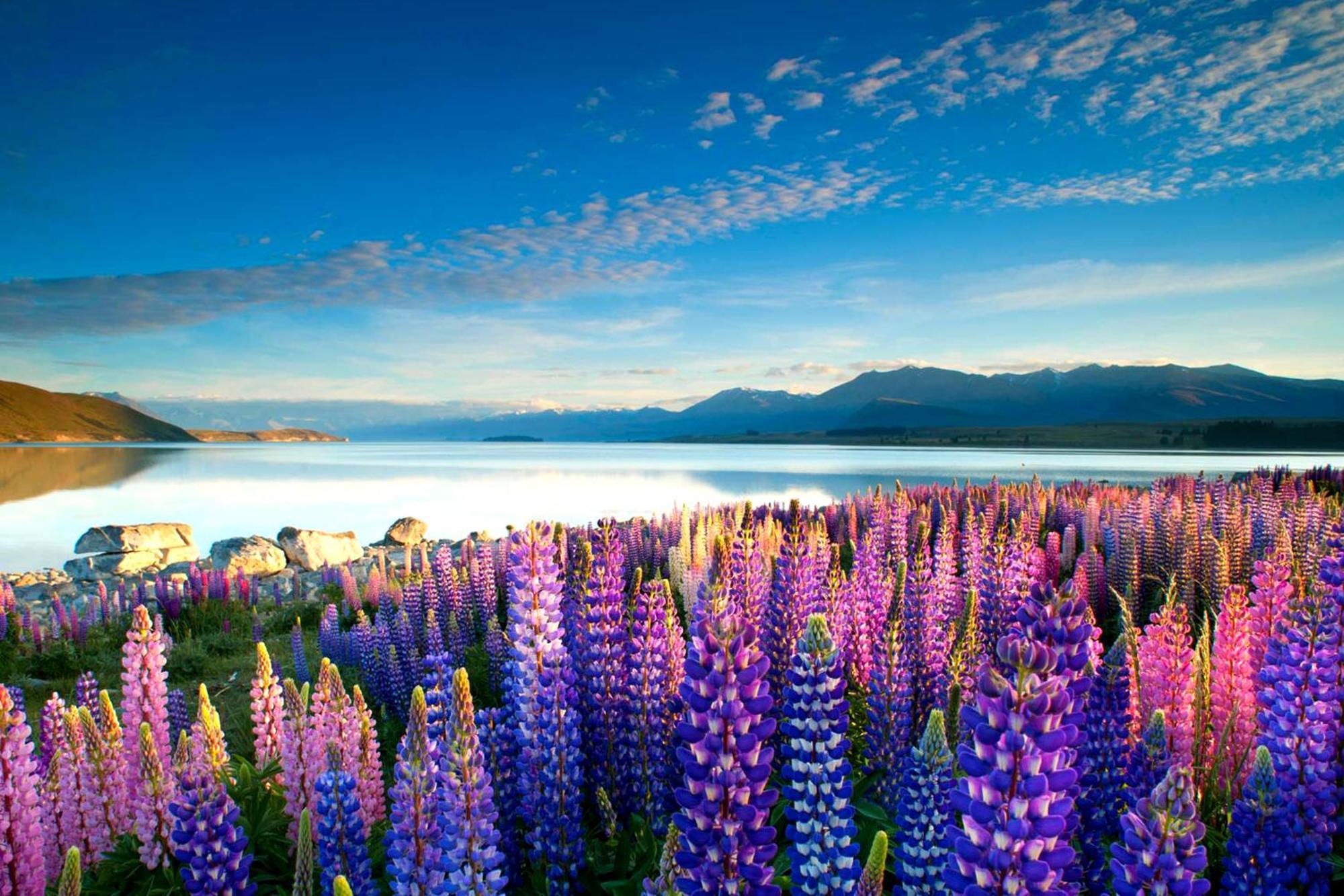 Tekapo1929 Lakefront Villa Лейк Текапо Екстериор снимка